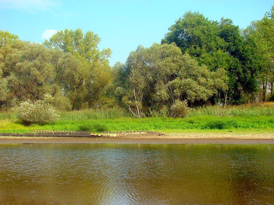 Jedna z kilku zatopionych poniemieckich barek w Zatoce Neptuna w Głogowie