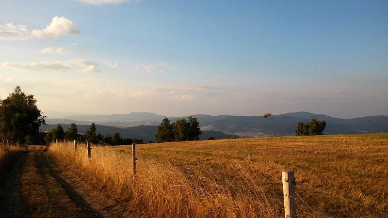 Widok ze Skowroniej Góry