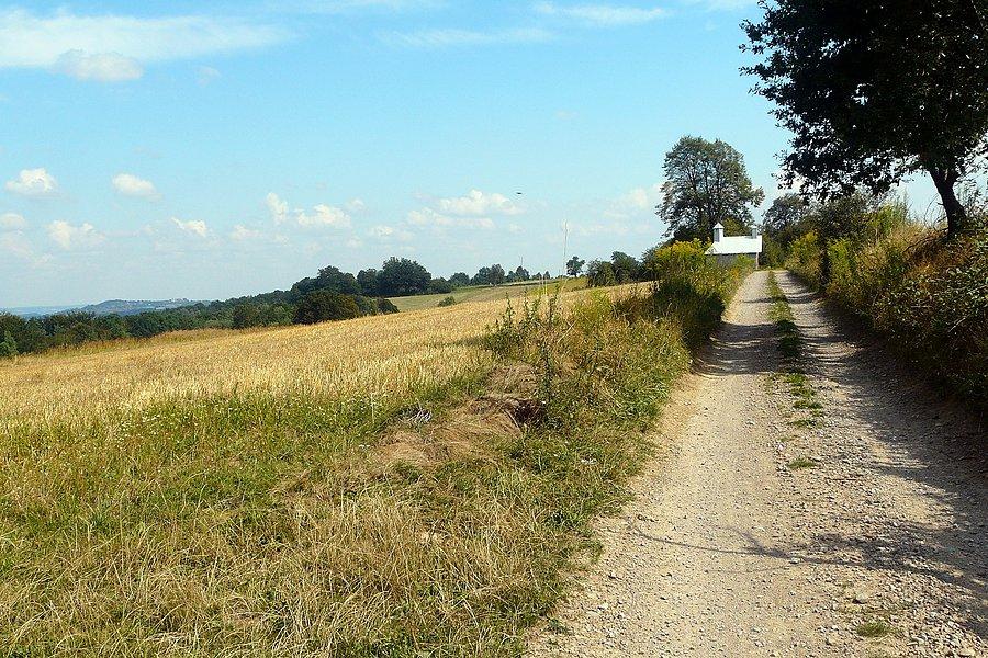 Drogi Grabu Tęczyńskiego