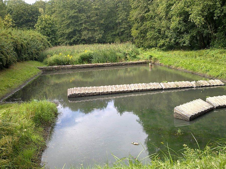 Łódź Park na Julianowie