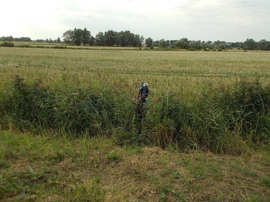 Buszujący Sierra