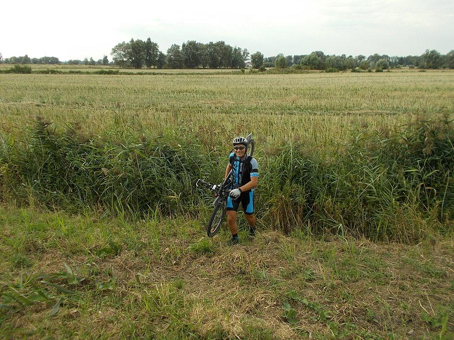 Buszujący Sierra