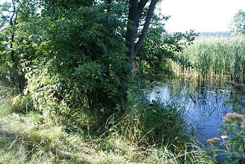 Tu punktu nie ma, niestety, komuś przeszkadzał?
