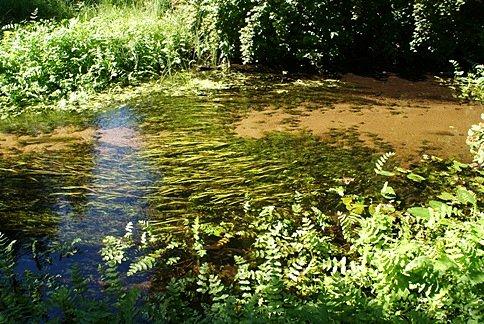 Gorące, suche powietrze, a woda zimna i mokra