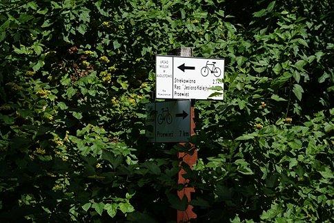 Na Strękowiznę czy Przewięź?