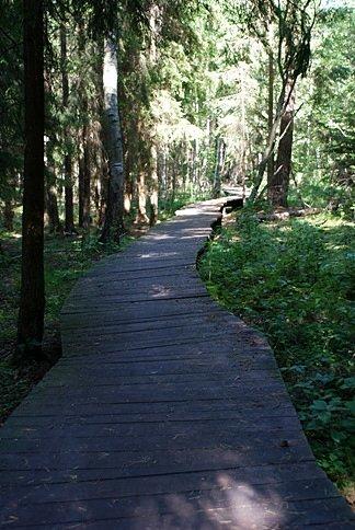 Kładką przez Wigierski Park Narodowy