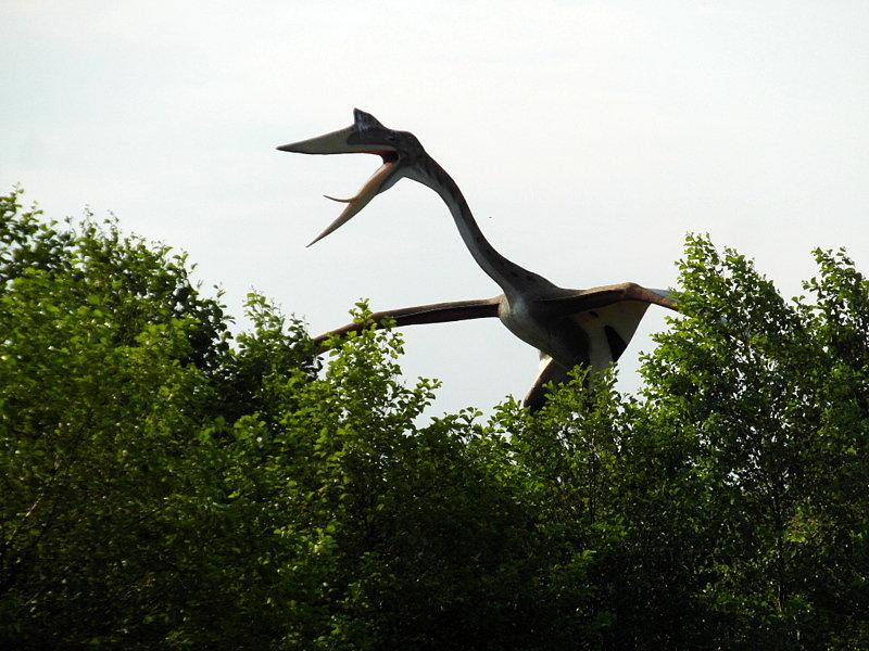 Park Jurajski -Łeba