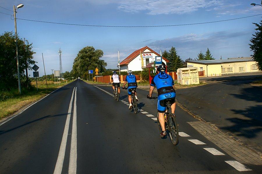 W drodze do Dąbia