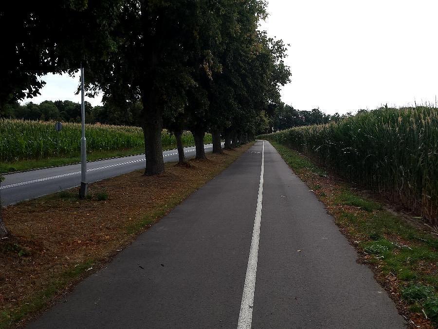 Wjazd na Oś.Lotnisko w Kluczewie