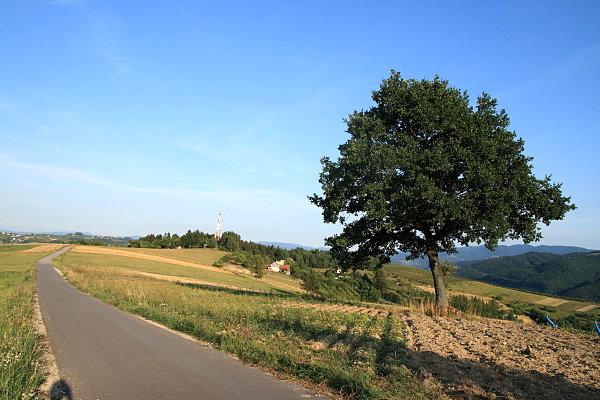 Jeżowa Góra