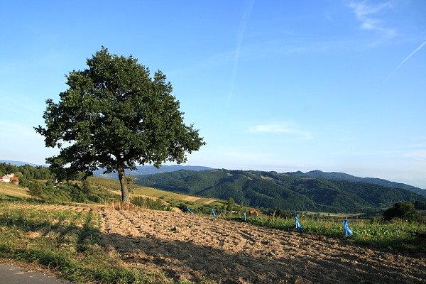 Widok na Pasmo Radziejowej