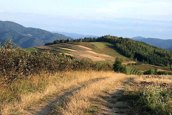 Widok ze wzgórza Połom