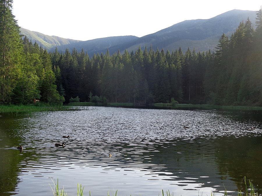 Vrbické Pleso (2)
