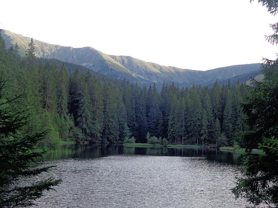 Vrbické Pleso (1)