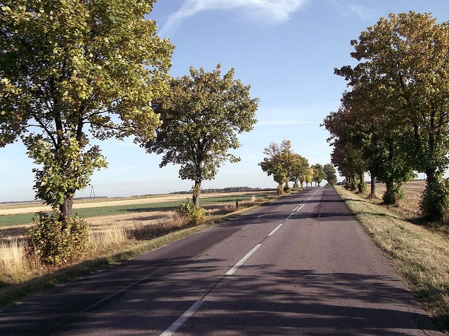 Przyjemna droga