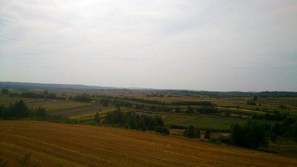 Pola w okolicach Krasnobrodu