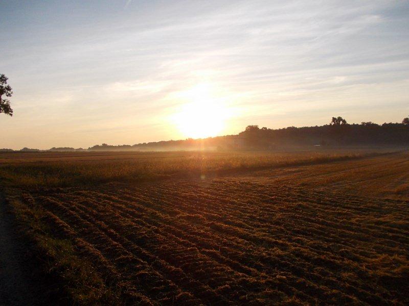 Piękny poranek