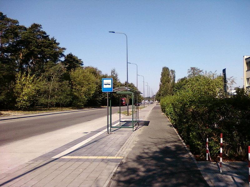 DDR na Św. Teresy