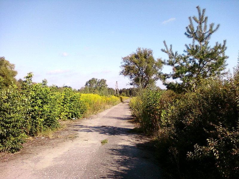 Zapomniana asfaltowa droga