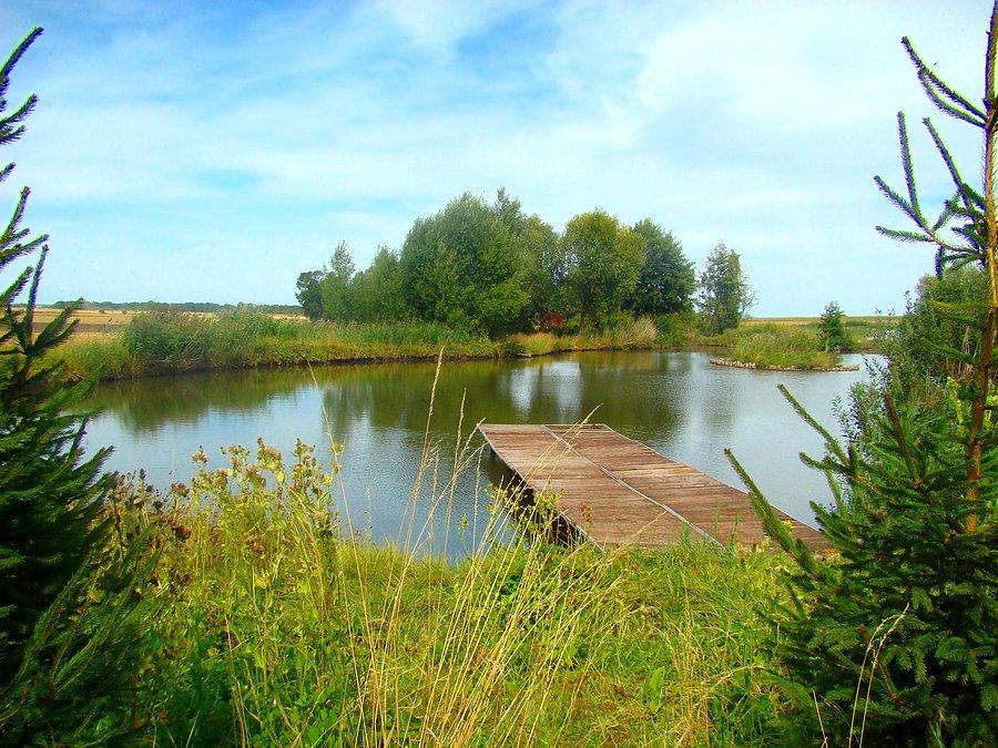 Staw w pobliżu Witanowic