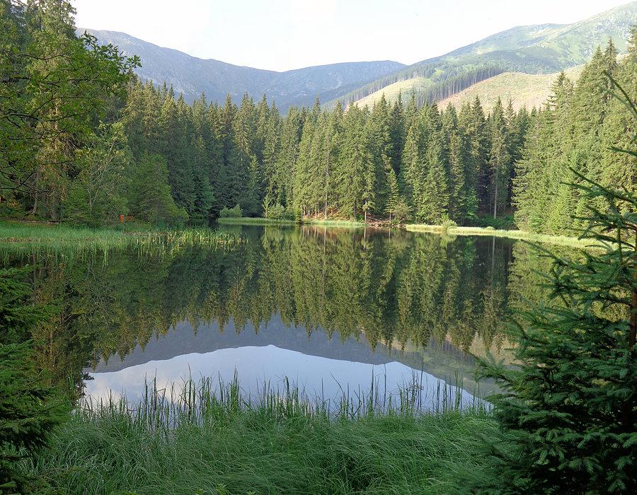 Poranne Vrbické Pleso