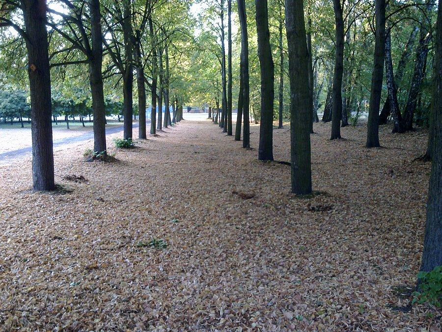Park na Zdrowiu