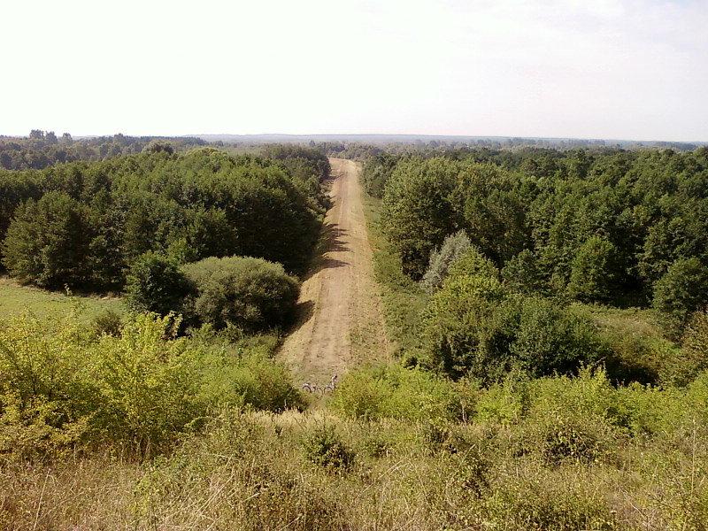Widok na Dolinę Warty