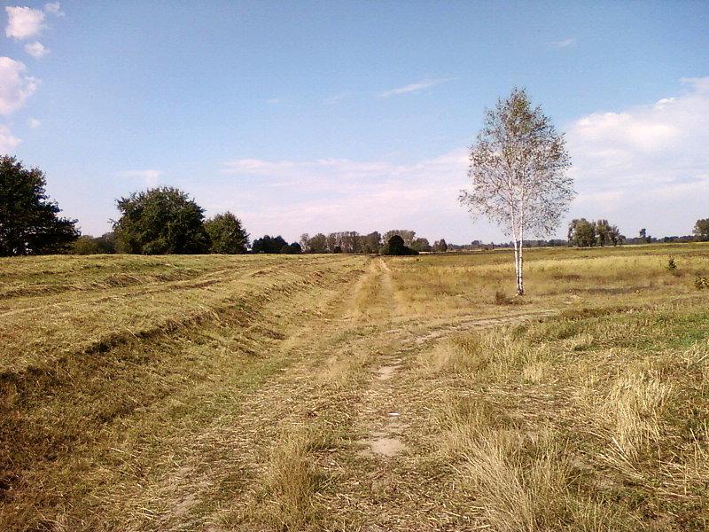 Szlak wzdłuż wałów