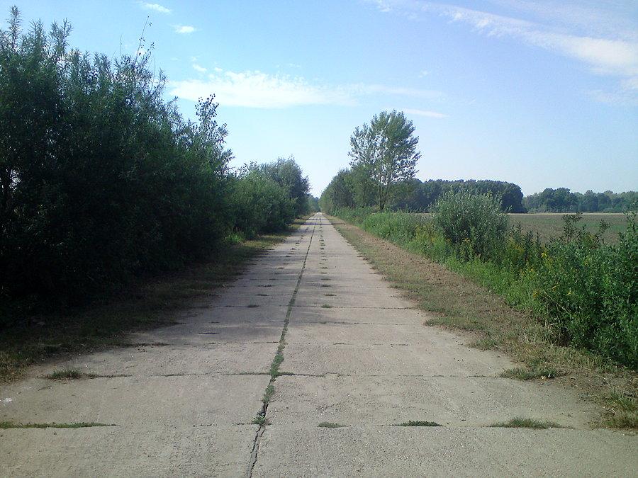 Nawet na betonówce pobocza wykosili