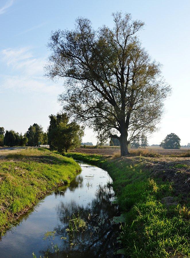 Rzeka w Antoszce