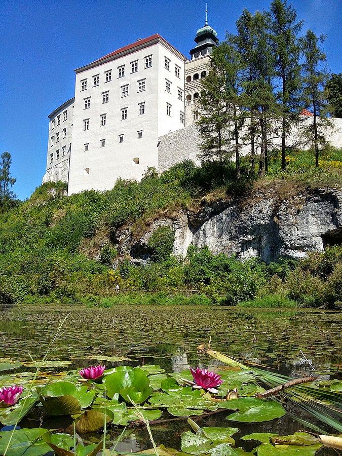 Odnowiony zamek w Pieskowej Skale II