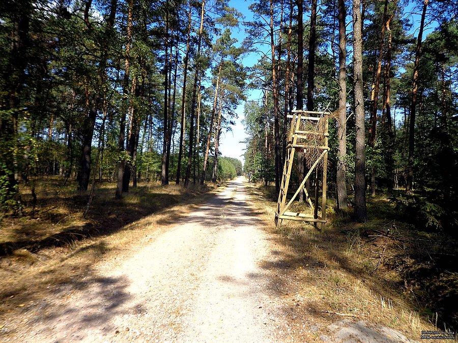 Ambona co 20m