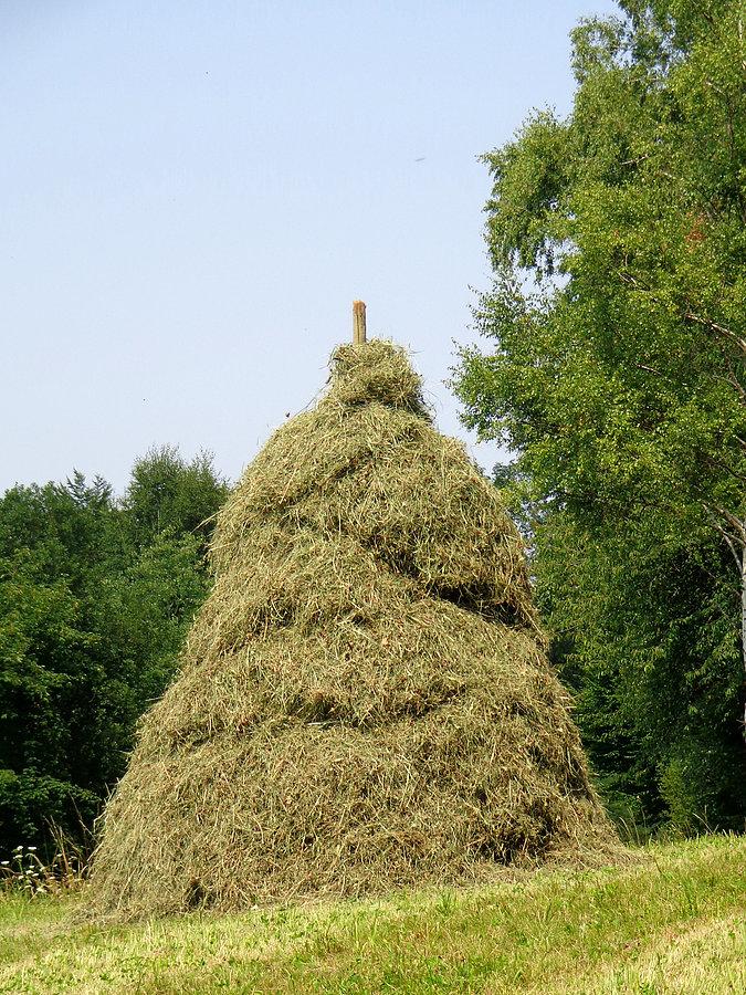 Stóg siana