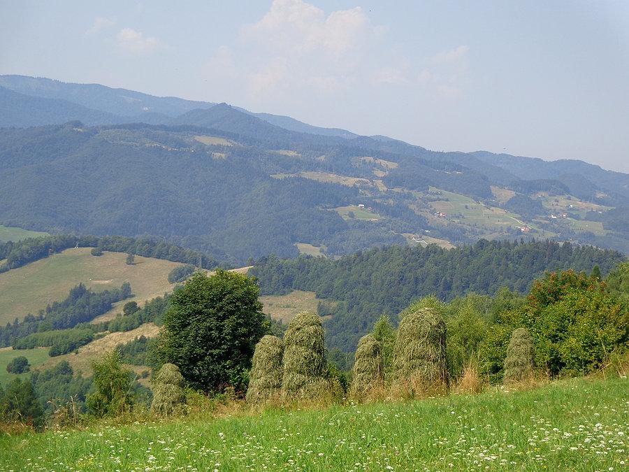 Będzie sianko