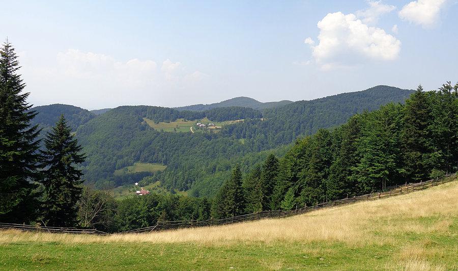 W Beskidzie Sądeckim