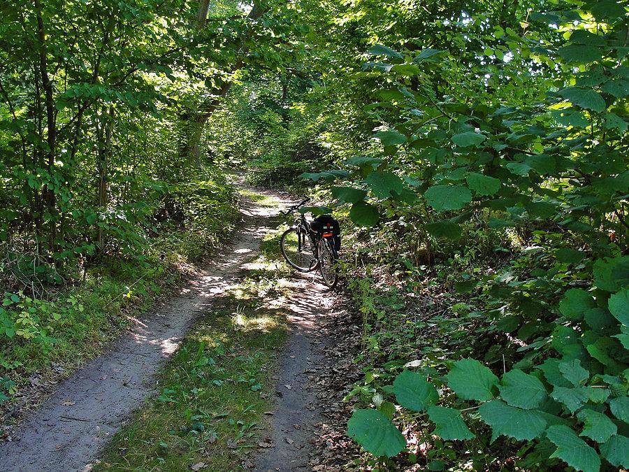 Niedzielny poranek na rowerku. Okolice Tczewa