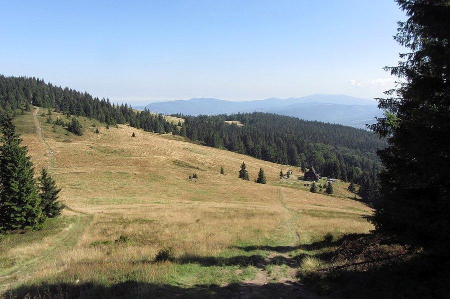 Widoczek po drodze