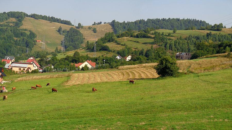 Piwniczna, Banie