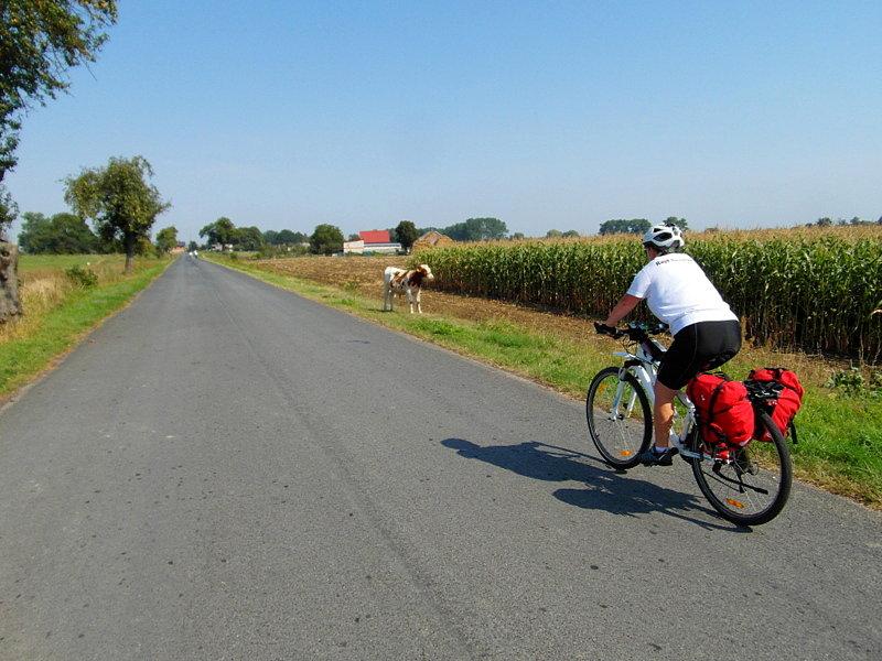 Ii pomorskie święto wisły