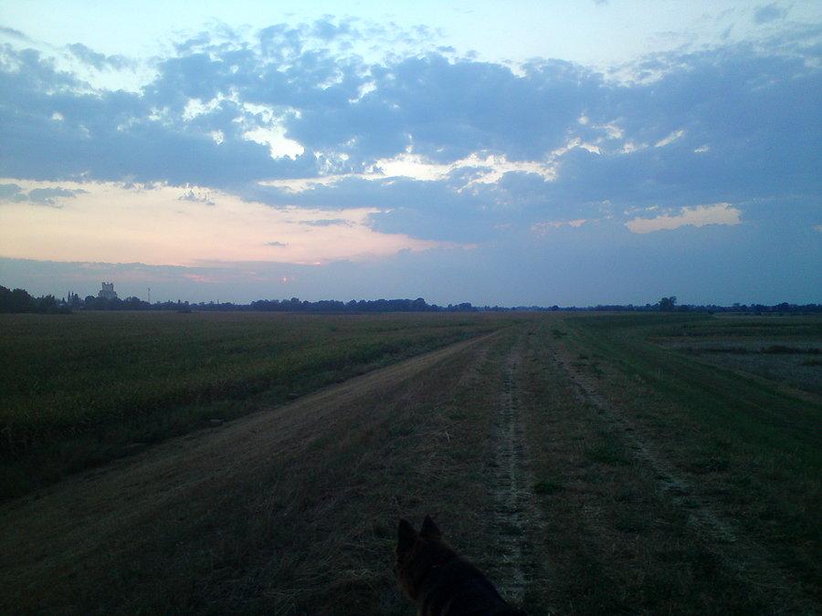 W poszukiwaniu burzy