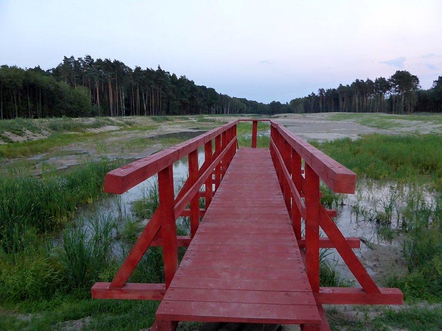 Droga donikąd