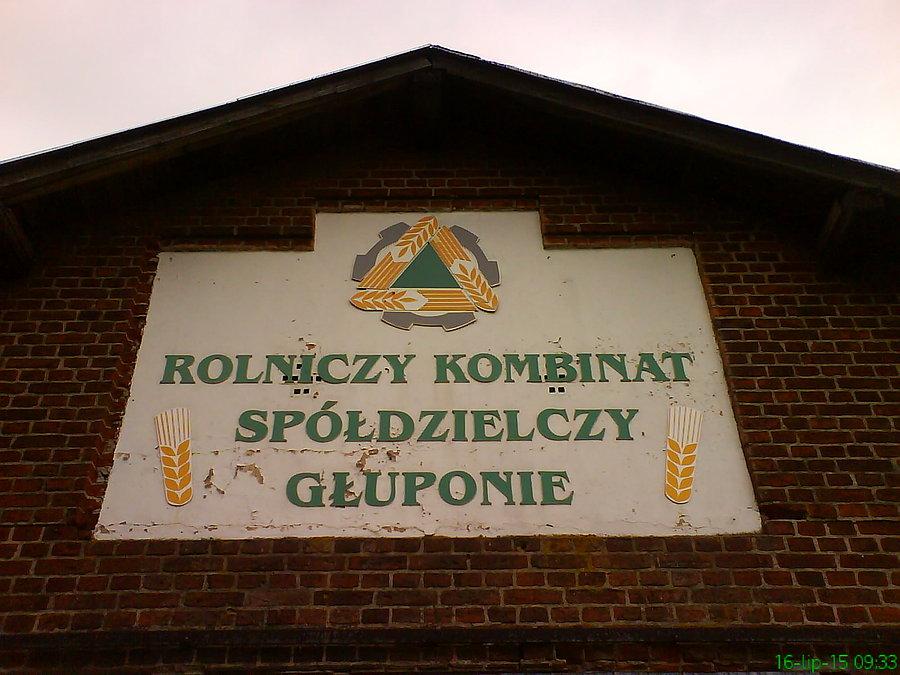 Głuponie??