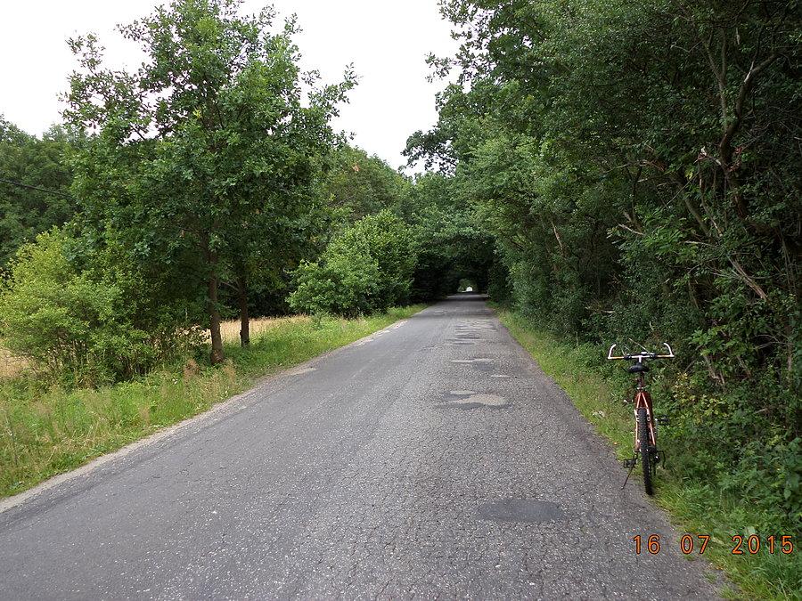 Leśny tunel koło parafii Duszniki (w Wlkp.)