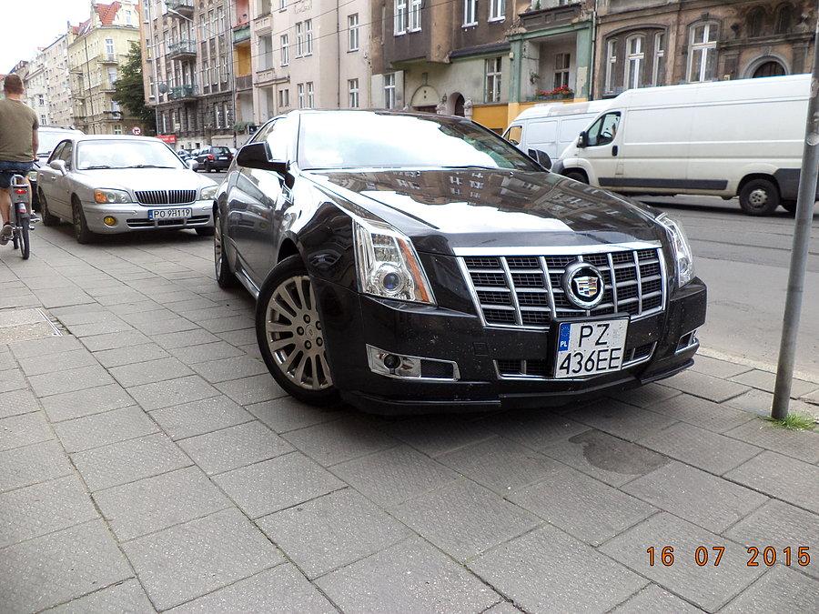 Bardzo rzadki model (gęstych nie lubię). Ktoś odgadnie?