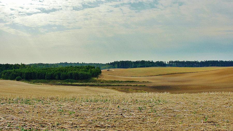Wtorek na rowerku. Okolice Tczewa