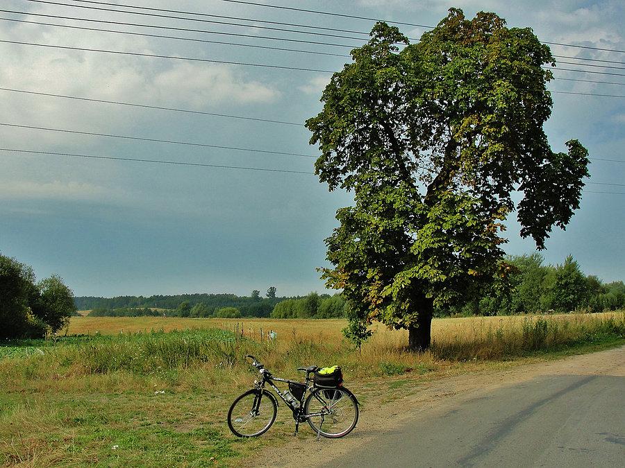 Wtorek na rowerku. Okolice Tczewa
