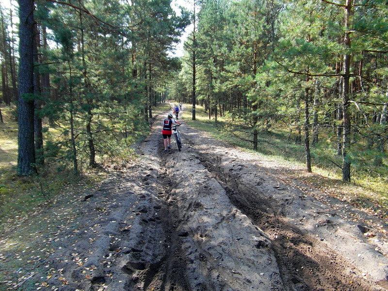 I Rodzinny Rajd Rowerowy – Wdzydze 2015