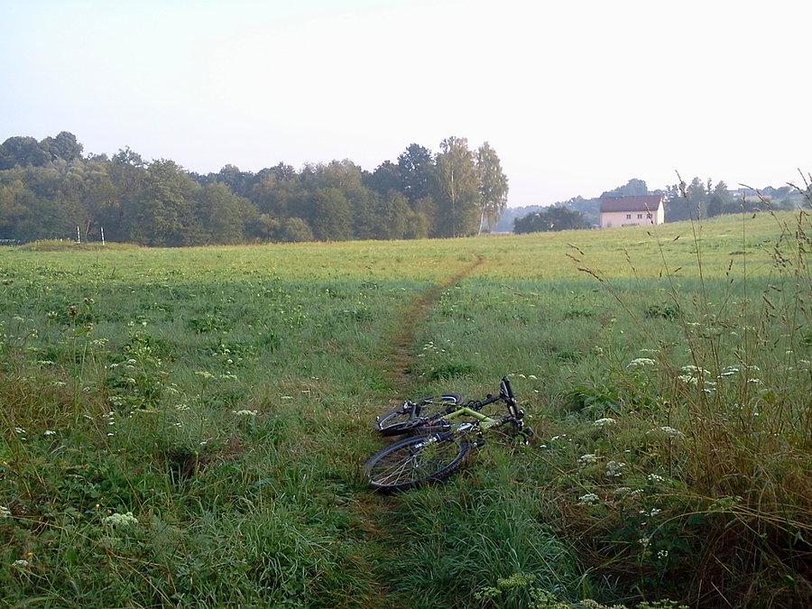 Błędowice