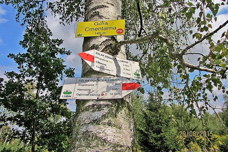 Jeden z punktów kontrolnych "Góra cmentarna"