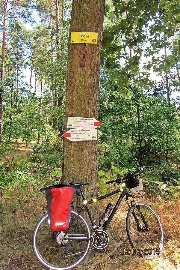 Punkt kontrolny "Piotruś" 173m